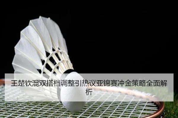 王楚钦混双搭档调整引热议亚锦赛冲金策略全面解析